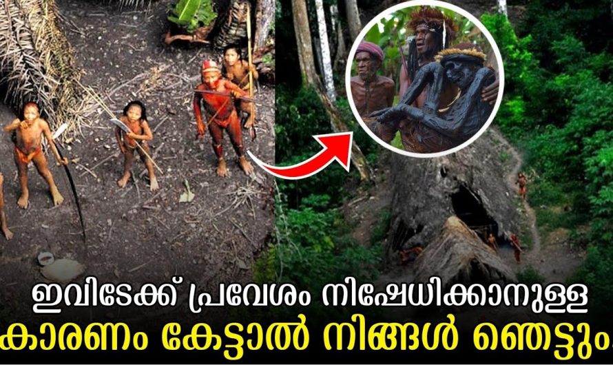 ലോകത്ത് മനുഷ്യസഞ്ചാരങ്ങൾ നിഷേധിച്ച നിഗൂഢതകൾ നിറഞ്ഞ സ്ഥലങ്ങൾ..