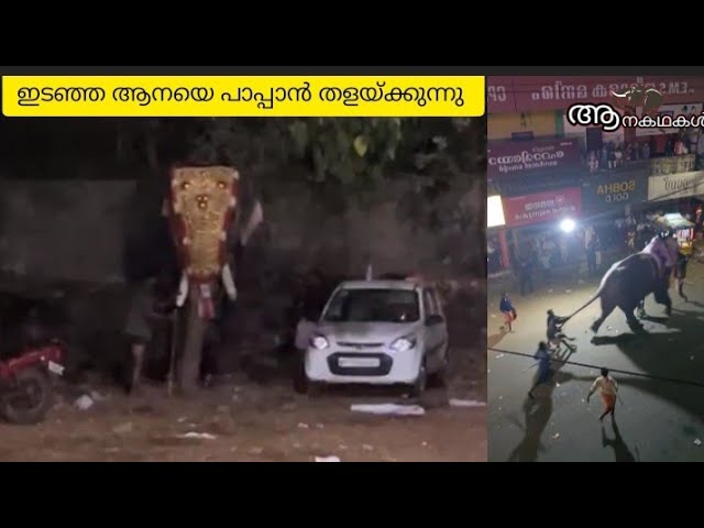 പട്ടാമ്പി നേർച്ചയ്ക്ക് ഇടയിൽ ആന ഇടഞ്ഞപ്പോൾ സംഭവിച്ചത്..