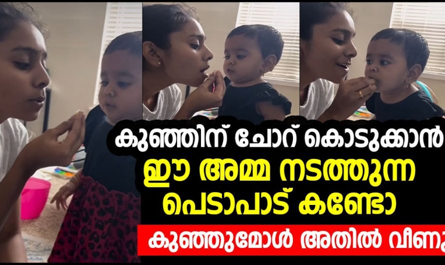 തൻറെ കുഞ്ഞിന് വളരെ രസകരമായ രീതിയിൽ ചോറു കൊടുക്കുന്ന അമ്മയാണ് ഇപ്പോൾ വൈറൽ…