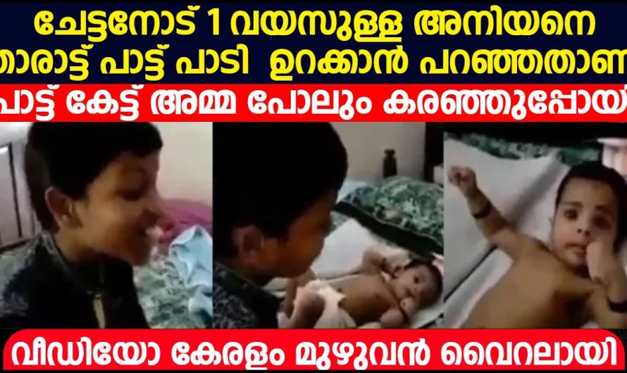 തന്റെ കുഞ്ഞനുജനെ ഉറക്കാൻ വേണ്ടി ഈ ചേട്ടൻ പാടുന്ന പാട്ട് കേട്ടാൽ നിങ്ങളുടെ കണ്ണു നിറഞ്ഞു പോകും..