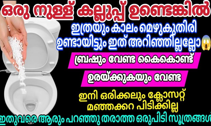 ടോയ്ലറ്റ് കഴുകാനുള്ള ലായനികളുടെ ഒന്നും സഹായമില്ലാതെ ടോയ്ലറ്റ് വൃത്തിയാക്കാനുള്ള ടിപ്സുകൾ പരിചയപ്പെടാം…