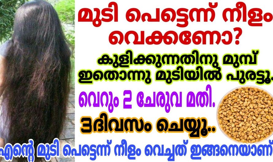 ഈ ഒരൊറ്റ ടിപ്സ് ചെയ്താൽ മതി എത്ര വളരാത്ത മുടിയും വളരും..