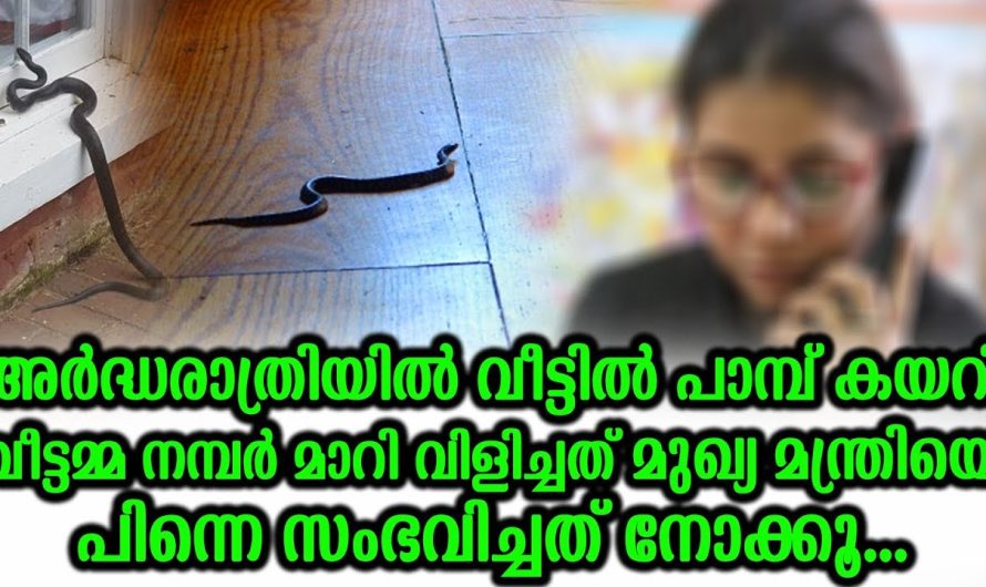 വീട്ടിൽ പാമ്പ് കയറി വീട്ടമ്മ മാറി വിളിച്ചത് മുഖ്യ മന്ത്രിയെ പിന്നെ സംഭവിച്ചത്