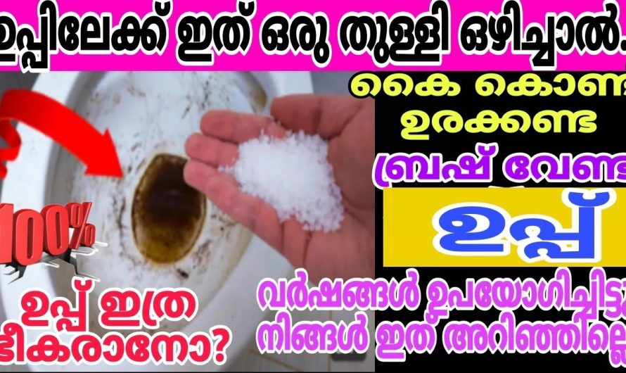 ഉപ്പുകൊണ്ട് ഇതുവരെ ആരും ചെയ്യാത്ത കിടിലൻ ടിപ്സുകൾ പരിചയപ്പെടാം..