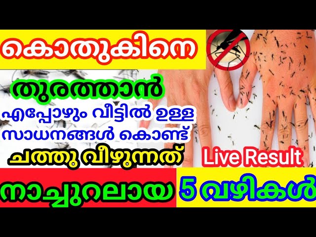 വീട്ടിൽ ഉണ്ടാകുന്ന കൊതുക് ശല്യം നിമിഷനേരങ്ങൾക്കുള്ളിൽ ഇല്ലാതാക്കാം..