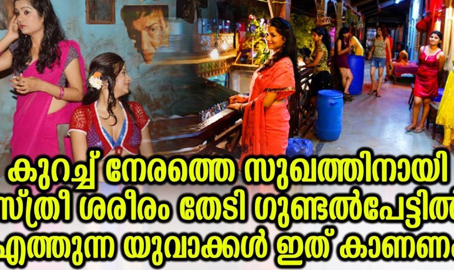 സ്ത്രീ ശ..രീ..രം. .തേടി ഗുണ്ടൽപേട്ടിൽ എത്തുന്ന യുവാക്കൾ ഇതൊന്ന് കാണണം