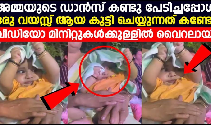 സ്റ്റേജിൽ അമ്മയുടെ പെർഫോമൻസ് നടക്കുമ്പോൾ ഈ കുഞ്ഞുവാവ ചെയ്തത് കണ്ടോ…