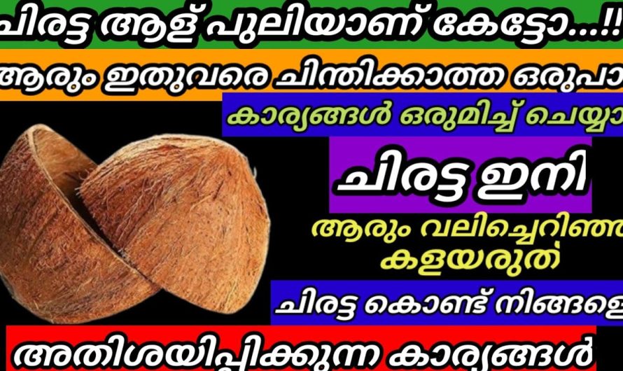 വീട്ടിൽ വെറുതെ കളയുന്ന ചിരട്ട കൊണ്ടുള്ള ആർക്കും അറിയാത്ത ചില ടിപ്സുകൾ മനസ്സിലാക്കാം..