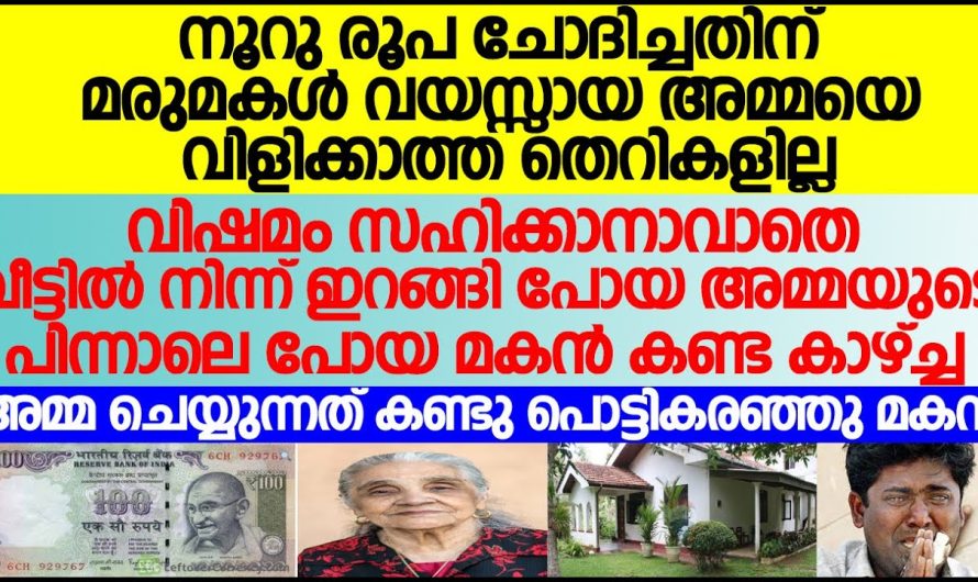 മരുമകളോട് 100 രൂപ ചോദിച്ചതിന് ഈ ഉമ്മയെ മരുമകൾ ചെയ്തത് കണ്ടോ..