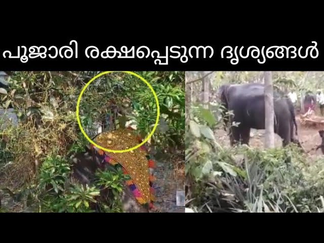 ആറാട്ട് നടക്കുന്ന ക്ഷേത്രത്തിൽ ആന ഇടഞ്ഞപ്പോൾ സംഭവിച്ചത്..