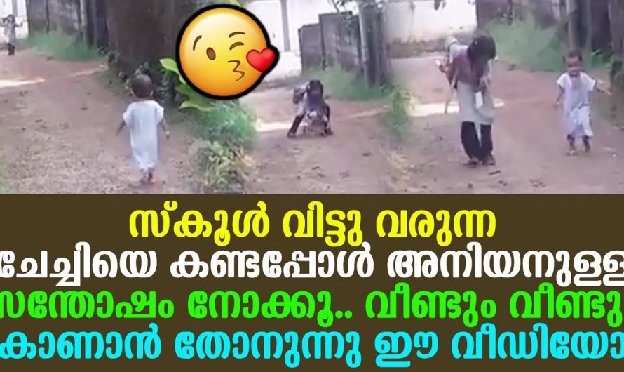 സ്കൂൾ വിട്ടു വരുന്ന ചേച്ചിയെ കണ്ടപ്പോൾ അനിയനുള്ള സന്തോഷം വീണ്ടും വീണ്ടും കാണാൻ തോനുന്നു ഈ വീഡിയോ