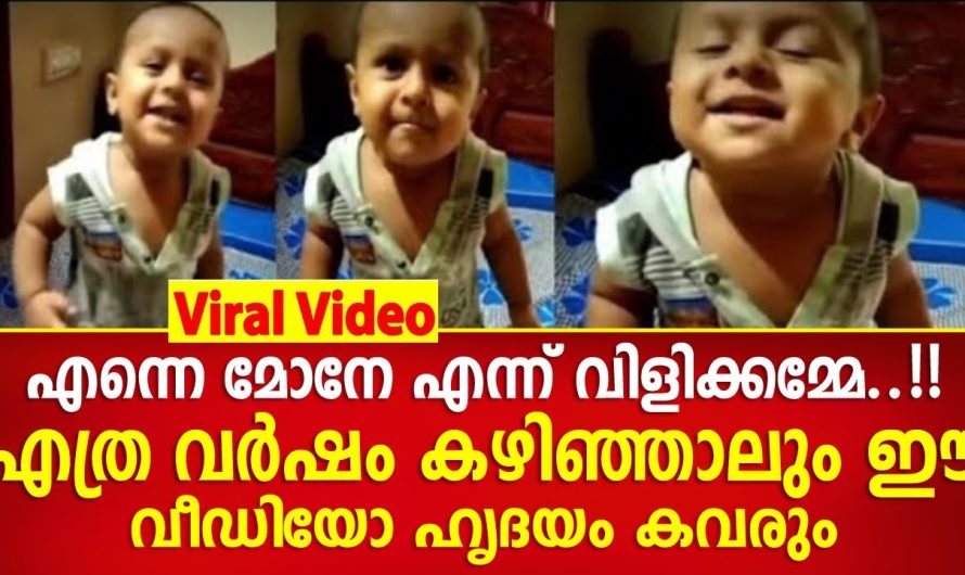 ഇപ്പോൾ സോഷ്യൽ മീഡിയയിൽ വൈറലാകുന്നത് ഈ ഒരു വയസ്സുകാരന്റെ വീഡിയോ ആണ്..