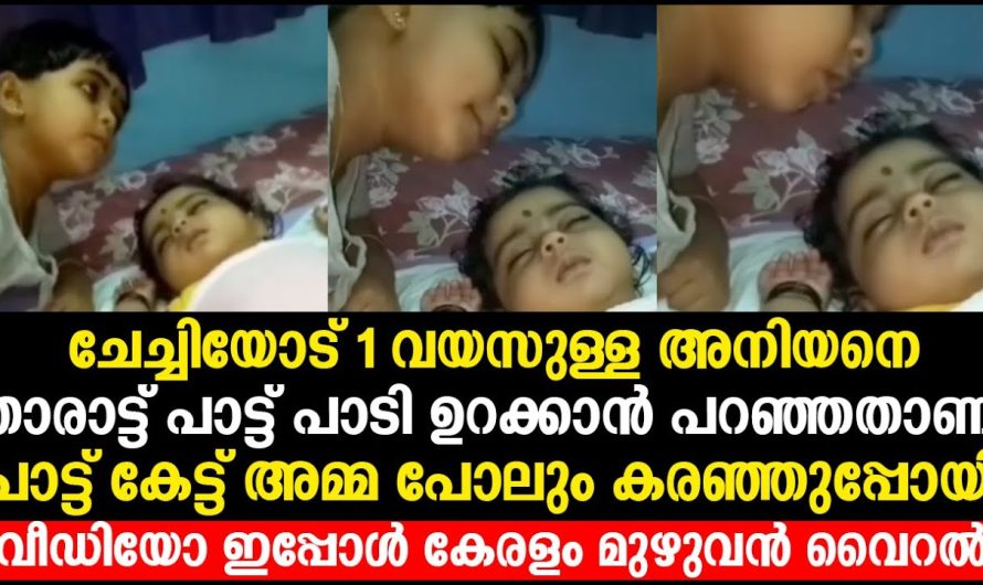 തൻറെ കുഞ്ഞനുജനെ പാട്ടുപാടി ഉറക്കുന്ന ഈ ചേച്ചിയാണ് ഇപ്പോൾ സോഷ്യൽ മീഡിയ വൈറൽ…