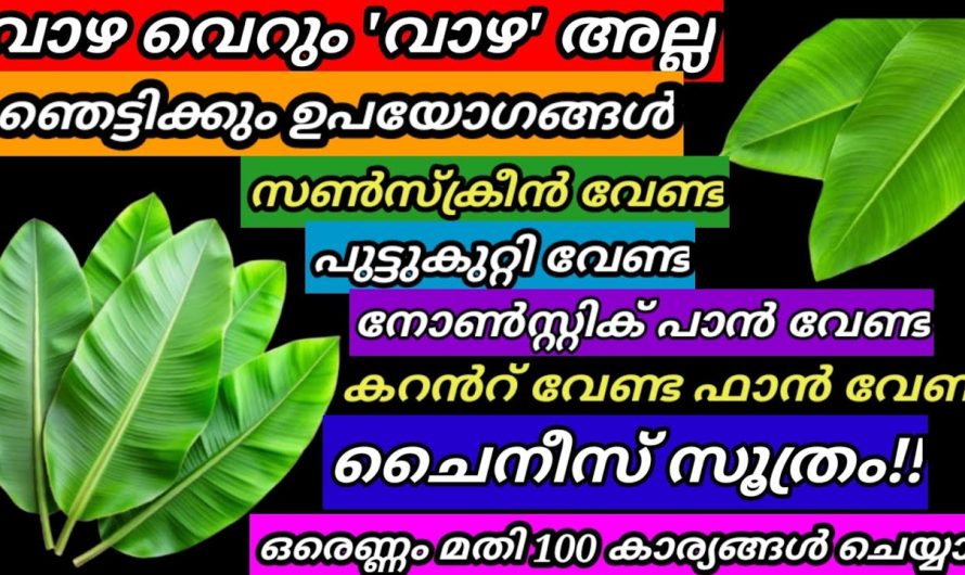 വാഴയില കൊണ്ട് ചെയ്യാൻ പറ്റുന്ന ചില സിമ്പിൾ ടിപ്സുകൾ പരിചയപ്പെടാം…