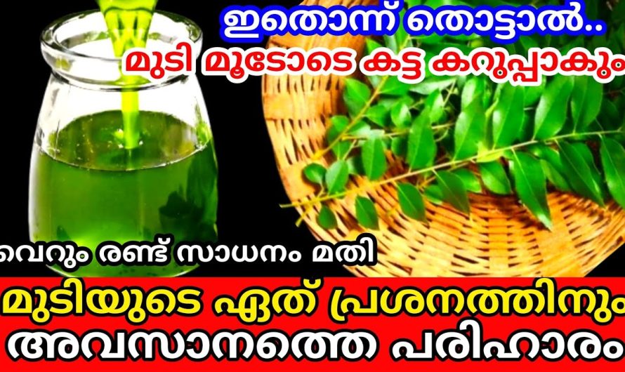 മുടി ആരോഗ്യകരമായി വളരാൻ സഹായിക്കുന്ന അടിപൊളി ഹെയർ കെയർ ടിപ്സുകൾ..