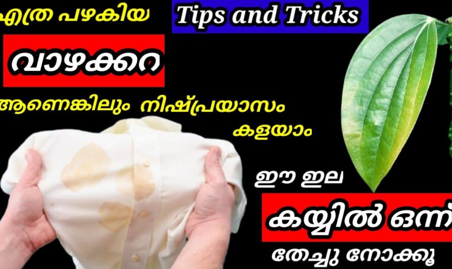 വസ്ത്രങ്ങളിൽ പറ്റിപ്പിടിച്ച എത്ര കഠിനമായ കറകളും ഈ ഒരൊറ്റ ടിപ്സിലൂടെ ഈസിയായി മാറ്റിയെടുക്കാം..