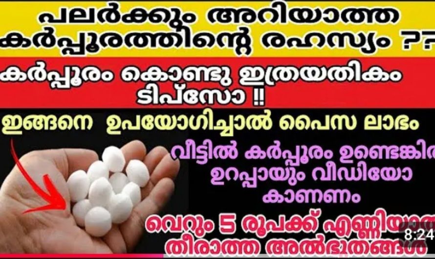 കർപ്പൂരം ഉപയോഗിച്ച് ചെയ്യാൻ പറ്റുന്ന ആർക്കും ഇതുവരെ അറിയാത്ത ചില ടിപ്സുകൾ പരിചയപ്പെടാം…