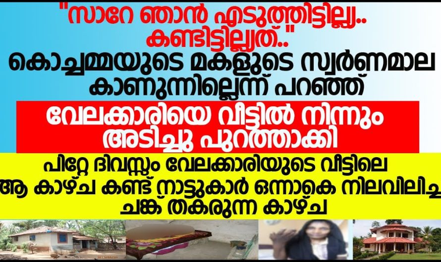 കംഫർട്ട് ഉപയോഗിച്ച് ചെയ്യാൻ കഴിയുന്ന ആർക്കും അറിയാത്ത ചില കിടിലൻ ടിപ്സുകൾ പരിചയപ്പെടാം..