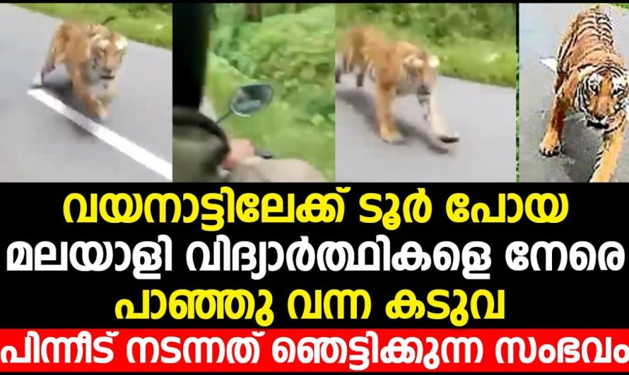 ലോകത്തിലെ ഇതുവരെ നടന്ന ചില വ്യത്യസ്തമായ സംഭവങ്ങളെക്കുറിച്ച് പരിചയപ്പെടാം…