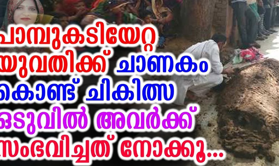 പാമ്പുകടിയേറ്റ യുവതിയെ ഹോസ്പിറ്റലിൽ കൊണ്ടുപോകാതെ ഭർത്താവ് ചെയ്തത് കണ്ടോ…