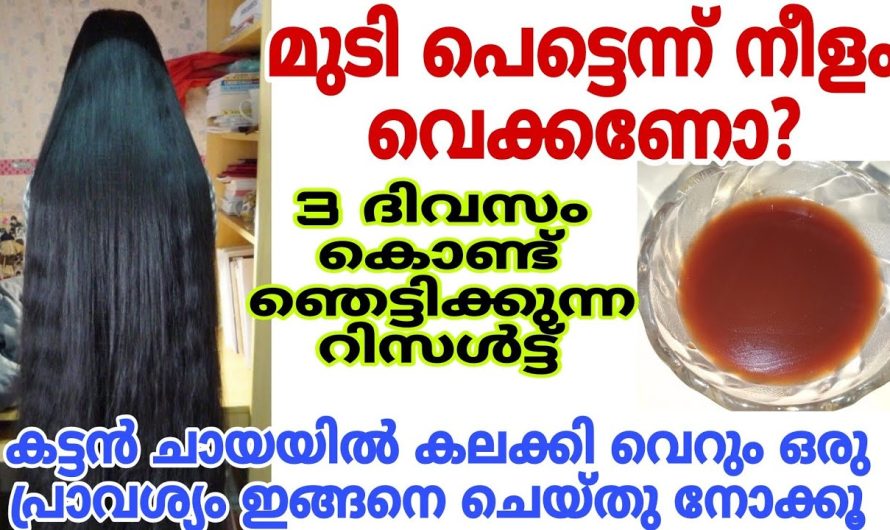 ഹെയർ പ്രോബ്ലംസ് എല്ലാം പരിഹരിച്ച് മുടി നല്ല ആരോഗ്യത്തോടെ വളരാൻ സഹായിക്കുന്ന ഒരു കിടിലൻ ഹെയർ ടിപ്സ്…