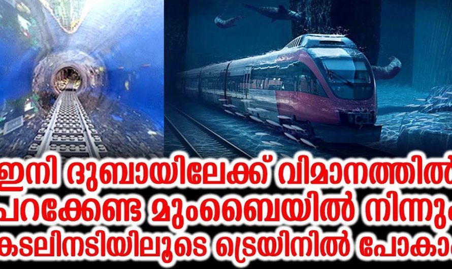 ഇനി ദുബായിലേക്ക് പോകാൻ വിമാനം കയറേണ്ട ആവശ്യമില്ല.. ഏവരെയും അത്ഭുതപ്പെടുത്തുന്ന ഒരു റെയിൽ പദ്ധതി വരുന്നു..