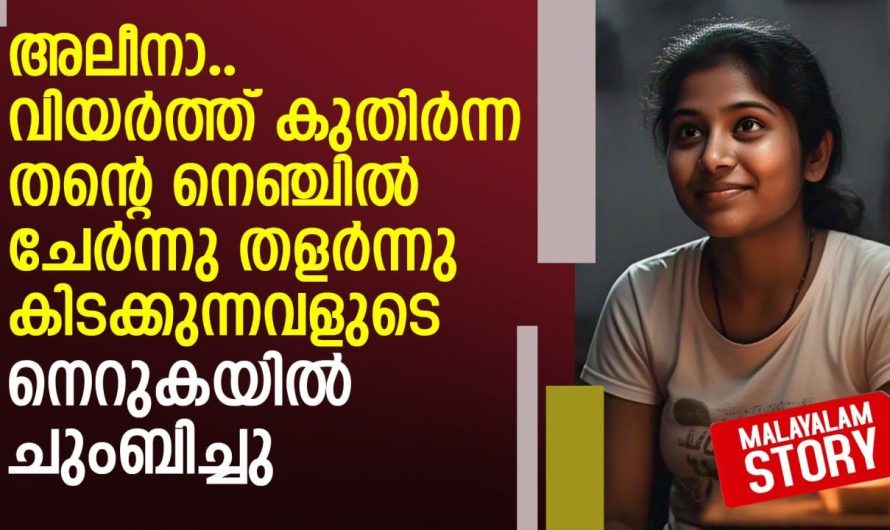 ഒരു ഉയർന്ന ഡോക്ടറെ സ്നേഹിച്ച നേഴ്സിന്റെ കഥ..