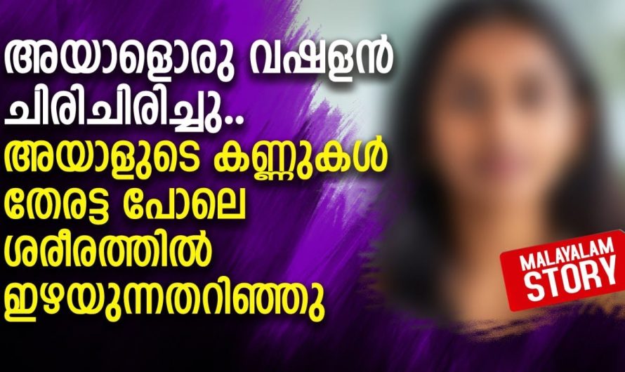 വർഷങ്ങൾക്കുശേഷം ജയിലിൽ നിന്ന് ഇറങ്ങി വന്നവൾക്ക് സംഭവിച്ചത്..