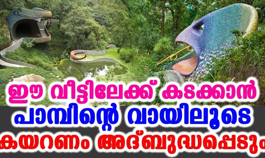 പാമ്പിൻറെ രൂപമുള്ള വ്യത്യസ്തമായ വീടുണ്ടാക്കി പ്രസിദ്ധനായ മെക്സിക്കോകാരൻ..