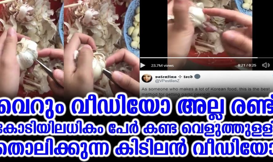 ഈ ഒരൊറ്റ ടിപ്സിലൂടെ വെളുത്തുള്ളി ഈസിയായി തൊലി കളയാം..