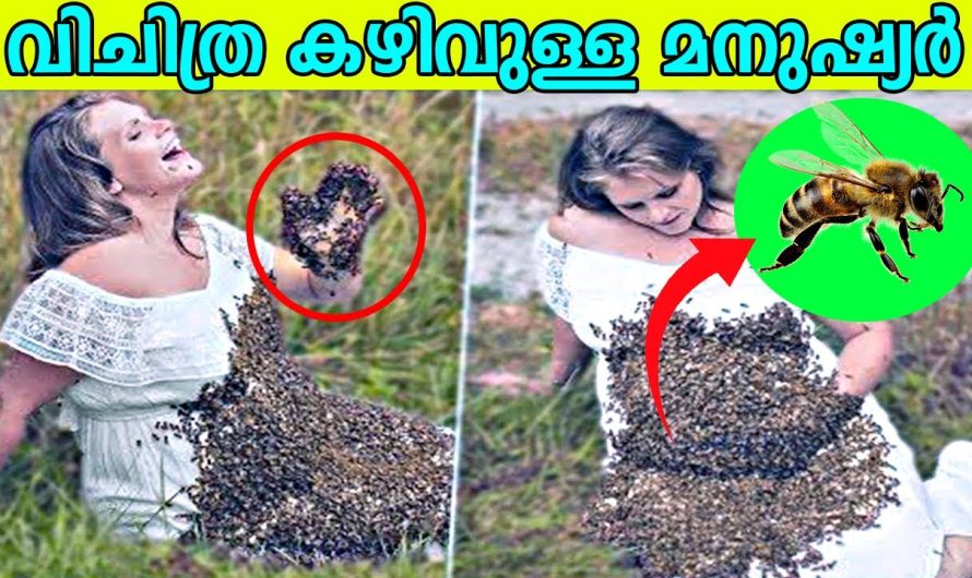 വിചിത്രമായ രീതിയിൽ കൂട് നിർമ്മിക്കുന്ന ജീവികൾ..