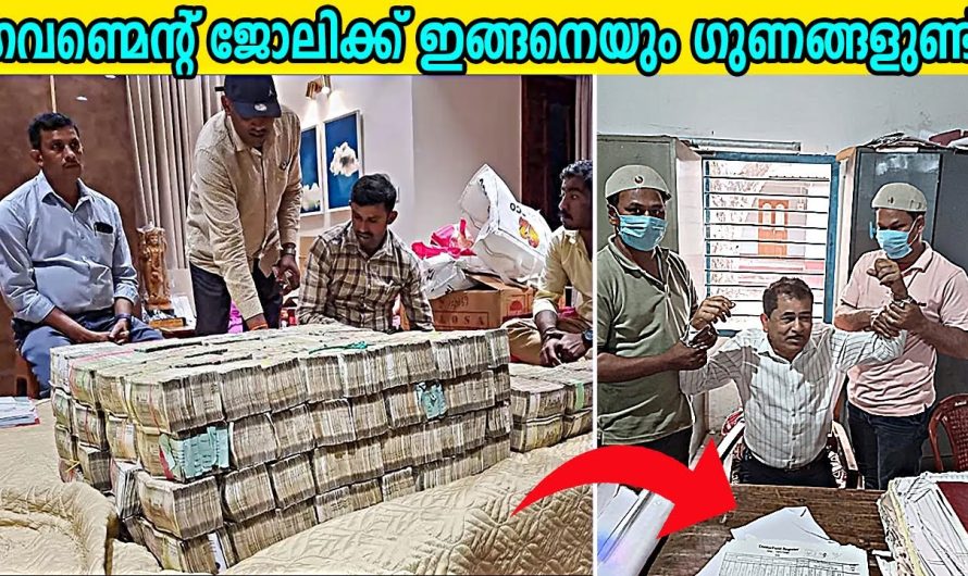 ഇന്ത്യയിൽ ഏറ്റവും കൂടുതൽ ആളുകൾ ചെയ്യുന്ന ജോലികൾ പരിചയപ്പെടാം..