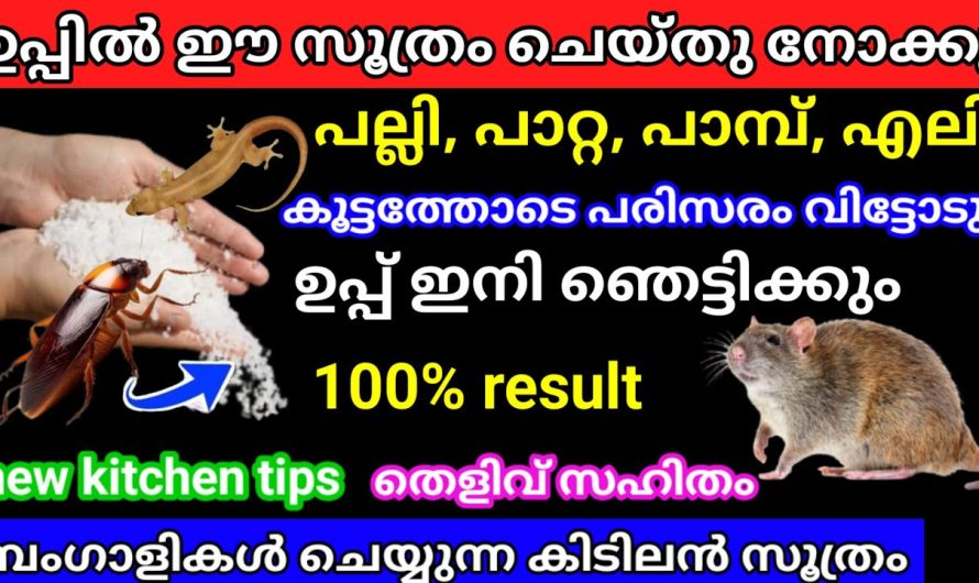 സവാള ഈ പറയുന്ന രീതിയിൽ സൂക്ഷിച്ചാൽ കുറെ അധികം ദിവസം നീണ്ടുനിൽക്കും..