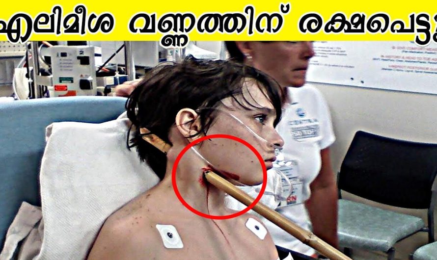 അപകടകരമായ ഘട്ടങ്ങളിൽ നിന്നും ഈശ്വരനെപ്പോലെ വന്ന ജീവൻ രക്ഷിച്ച ആളുകൾ..