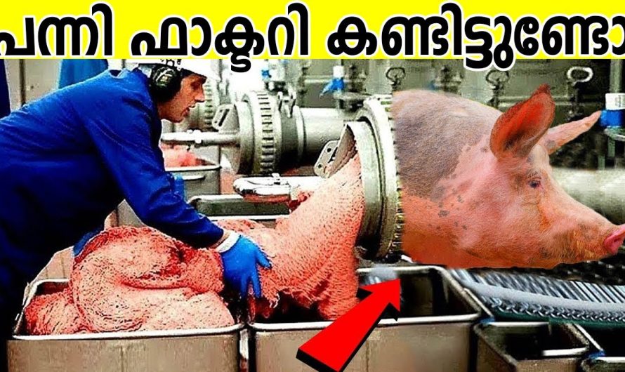 നമുക്ക് ഇഷ്ടമുള്ള വസ്തുക്കൾ ഇങ്ങനെയാണ് ഫാക്ടറികളിൽ ഉല്പാദിപ്പിക്കപ്പെടുന്നത്..
