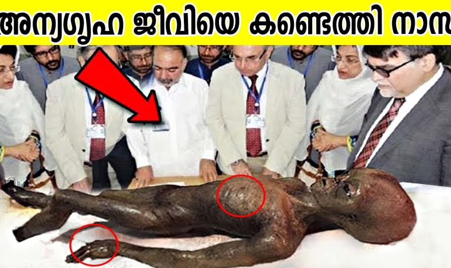 ശാസ്ത്രലോകത്തെ ഇന്നും കൺഫ്യൂഷൻ ആക്കുന്ന അന്യഗ്രഹ ജീവികൾ ഉണ്ടോ ഇല്ലയോ??