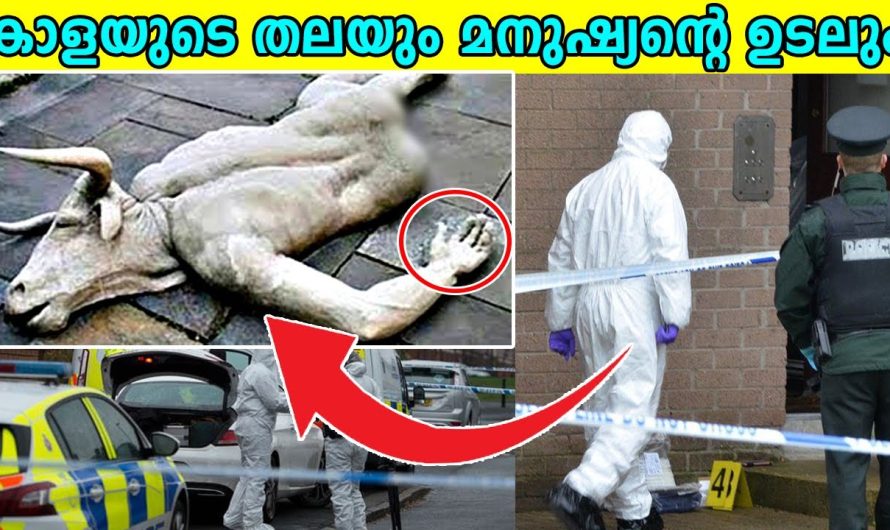 എട്ടു കാലുകളോട് കൂടി പിറവയെടുത്ത ആരെയും അത്ഭുതപ്പെടുത്തുന്ന ആട്ടിൻകുട്ടി..