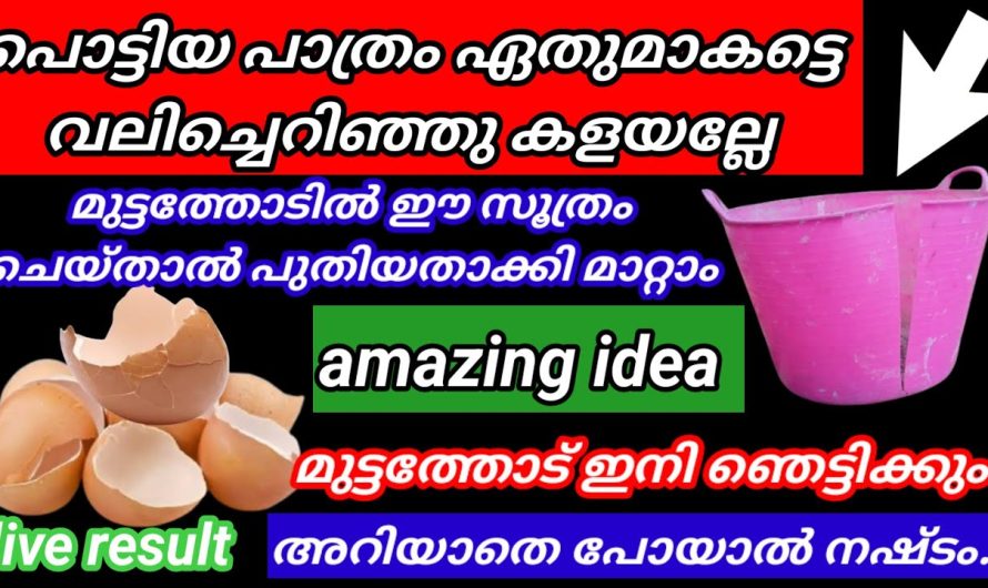 മുട്ടത്തോട് കൊണ്ട് ഉപകാരപ്രദമായ കുറച്ച് അടിപൊളി ടിപ്സുകൾ പരിചയപ്പെടാം..