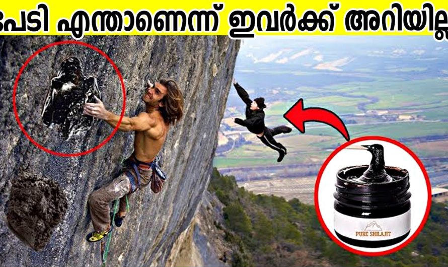 ലോകത്തിലെ അപകടകരമായ 10 വിനോദസഞ്ചാര കേന്ദ്രങ്ങൾ പരിചയപ്പെടാം..
