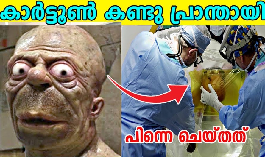 യഥാർത്ഥ കാർട്ടൂൺ കഥാപാത്രങ്ങളെ പോലെ തന്നെ സാമ്യമുള്ള ലോകത്തിലെ മനുഷ്യർ