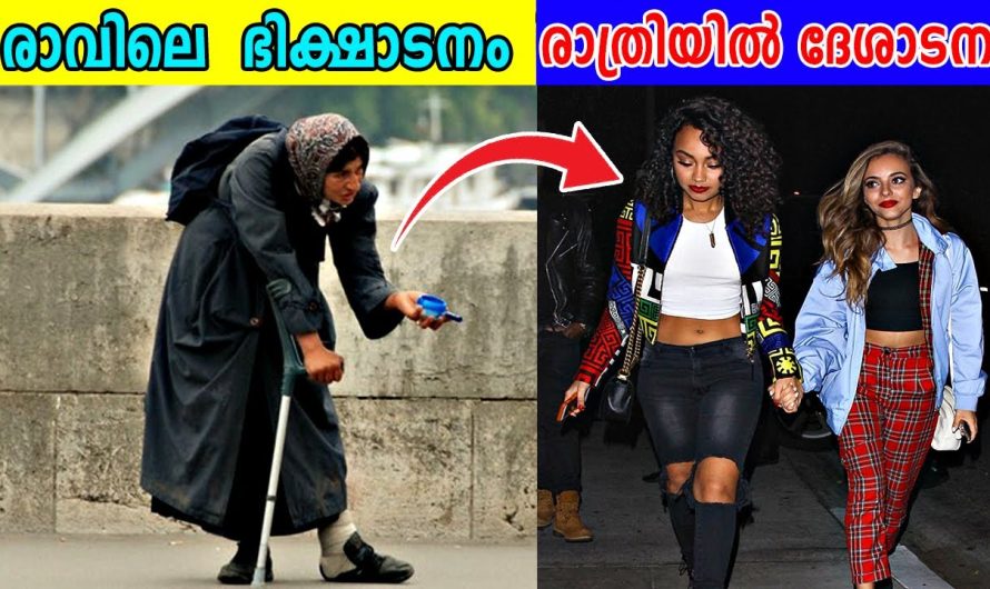 മനുഷ്യരെ കബളിപ്പിച്ചുകൊണ്ട് ഭിക്ഷാടനം നടത്തി ജീവിക്കുന്ന ആളുകൾ..