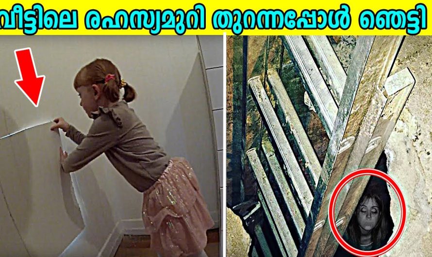 പുതിയ വീട്ടിൽ താമസം ആക്കിയപ്പോൾ രഹസ്യമുറി കണ്ടെത്തി.. എന്നാൽ പിന്നീട് സംഭവിച്ചതു കണ്ടോ..