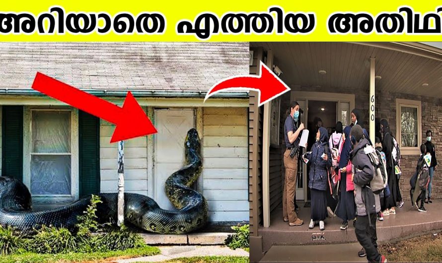 വ്യത്യസ്തമായ രീതിയിൽ ശരീരഘടനകൾ ഉള്ള 10 ജീവികളെ പരിചയപ്പെടാം..