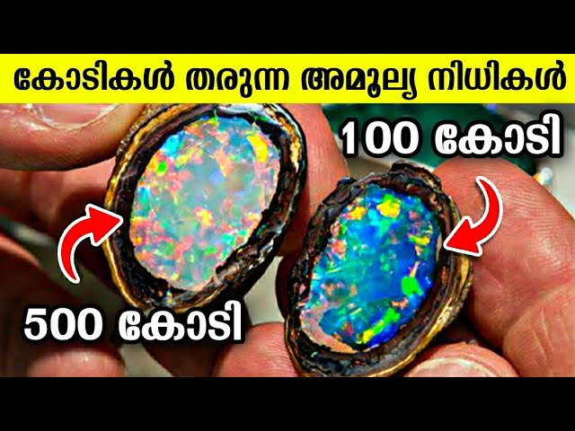 വജ്രത്തേക്കാൾ വിലയുള്ള കല്ലുകളെ കുറിച്ച് നമുക്ക് വീഡിയോയിലൂടെ മനസ്സിലാക്കാം..