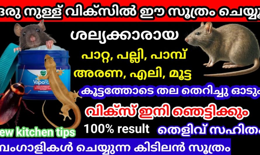 കയ്യിൽ ഒരു വിക്സ് ഉണ്ടോ എങ്കിൽ വീട്ടിലെ പ്രാണികളുടെ ശല്യം പാടെ ഇല്ലാതാക്കാം..