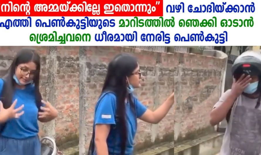 വഴി ചോദിക്കാൻ എത്തി പെൺകുട്ടിയോട് മോശമായി പെരുമാറിയ യുവാവിനോട് പെൺകുട്ടി ചെയ്തത് കണ്ടോ..