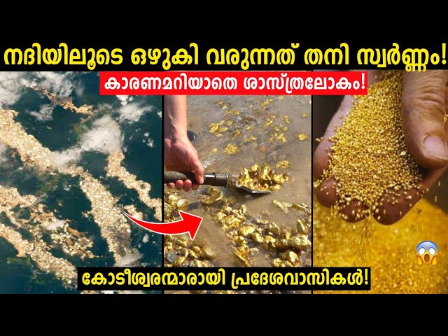 നമ്മുടെ ഇന്ത്യയിൽ സ്ഥിതി ചെയ്യുന്ന സ്വർണ്ണം ഒഴുകുന്ന അത്ഭുത നദി..