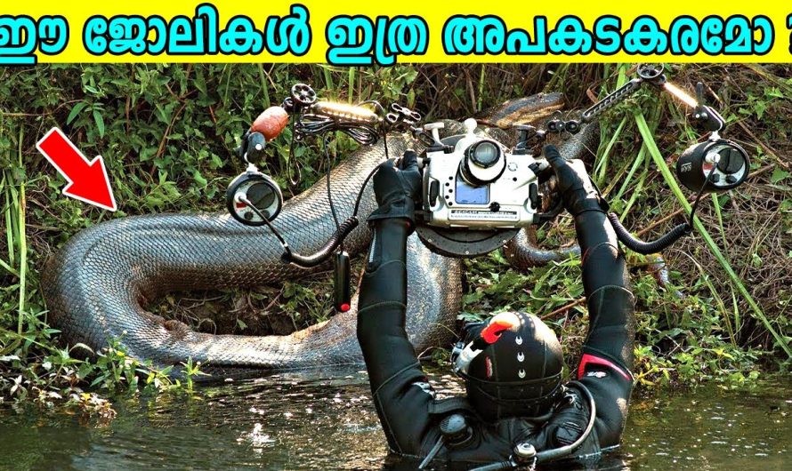 ലോകത്തെ ഏറ്റവും കൂടുതൽ അപകടങ്ങൾ നിറഞ്ഞിരിക്കുന്ന 10 ജോലികൾ..