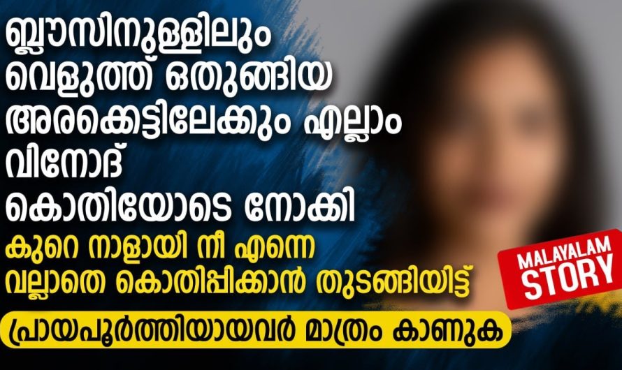 വീട്ടിലേക്ക് വന്ന കസിൻ ഭാര്യയോട് മോശമായി പെരുമാറിയപ്പോൾ ഭർത്താവ് ചെയ്തതു കണ്ടോ..