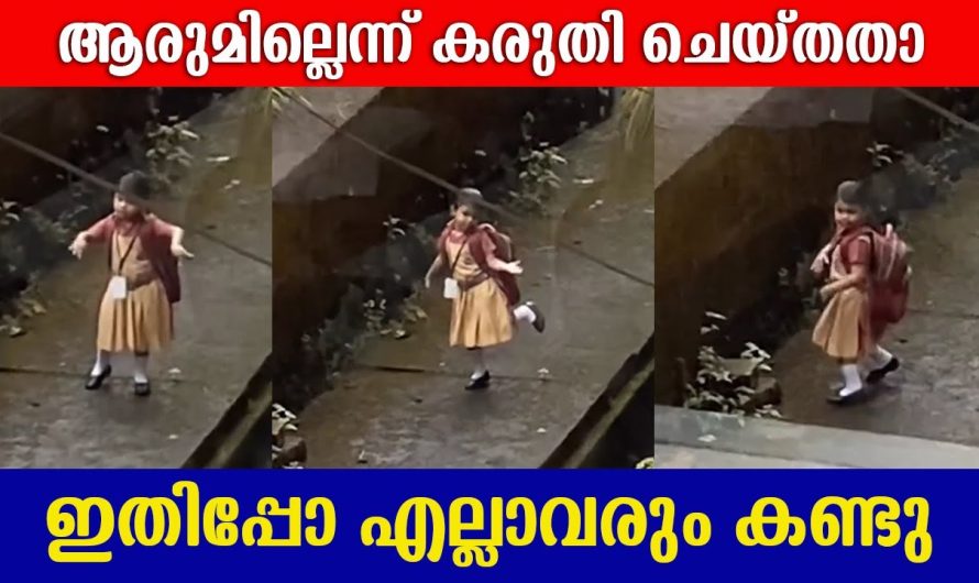 ഡാൻസ് കളിക്കാൻ തോന്നിയാൽ ഈ പെൺകുട്ടിയെ പോലെ പരിസരം മറന്ന് അത് ചെയ്യണം..